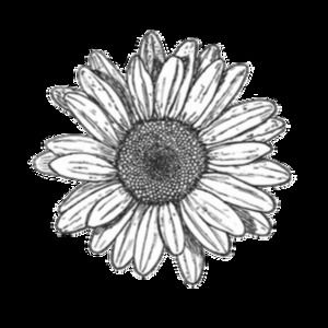 Meet your Posher, Rain